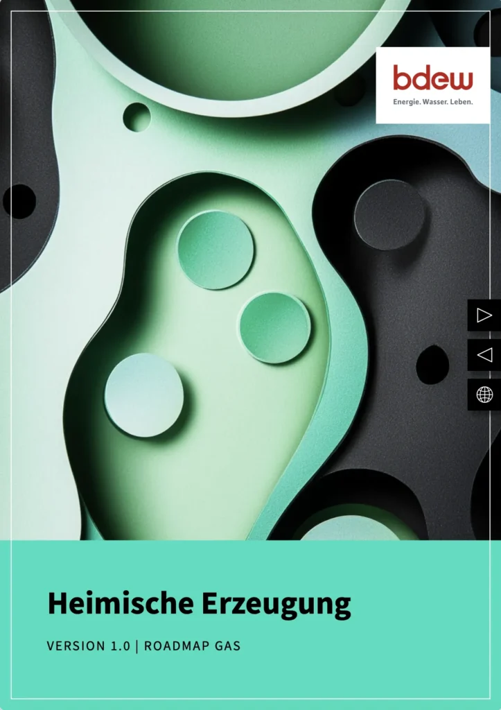 Roadmap Gas Heimische Erzeugung